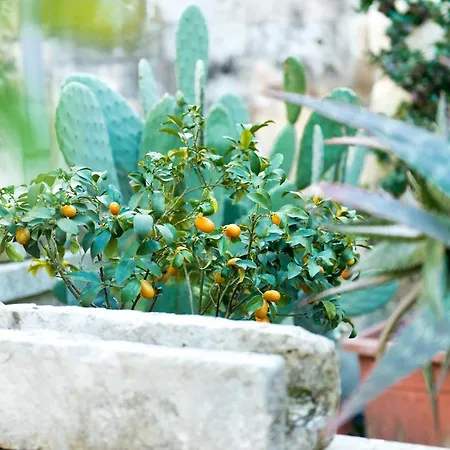 Bed & Breakfast Palace Castromediano Lecce